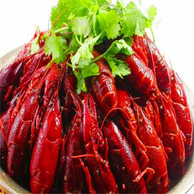 四川麻辣小龙虾技术91香蕉国产在线看观看软件哪里好？底料熬制方法